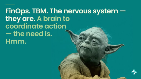 Part 2: What Replaces Your IT Finance Platform?